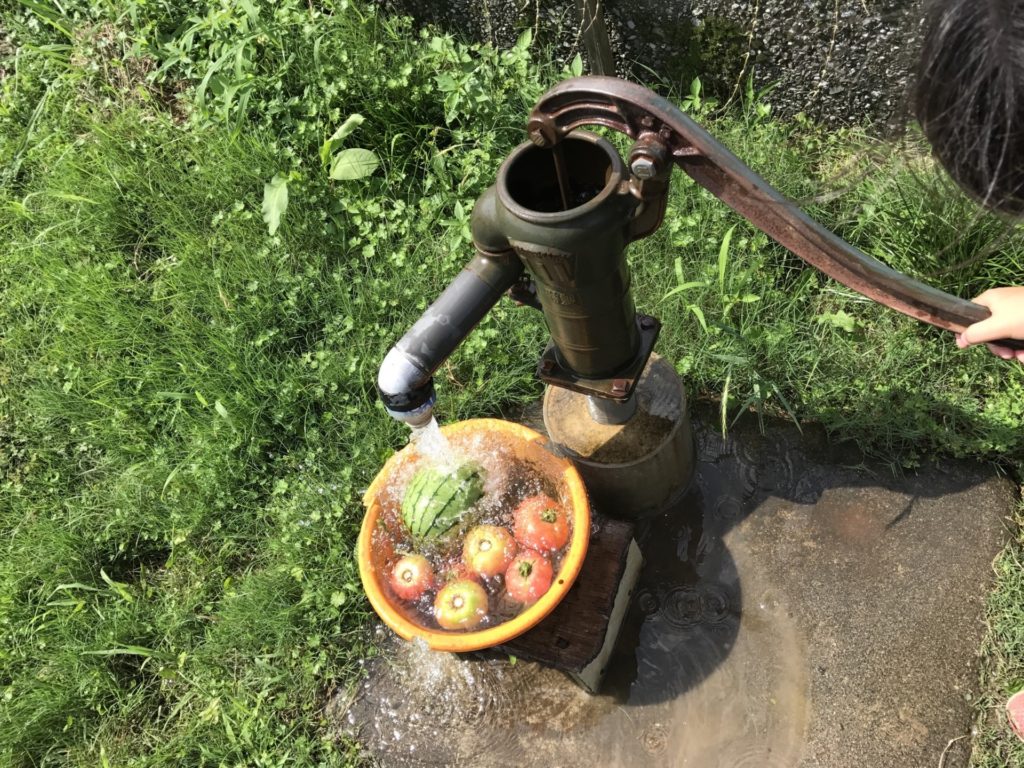 井戸ポンプで野菜を洗う
