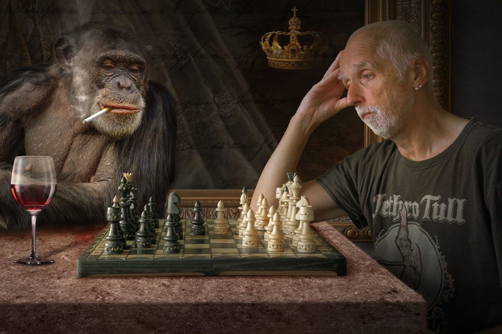 チェスをしているサルと人間